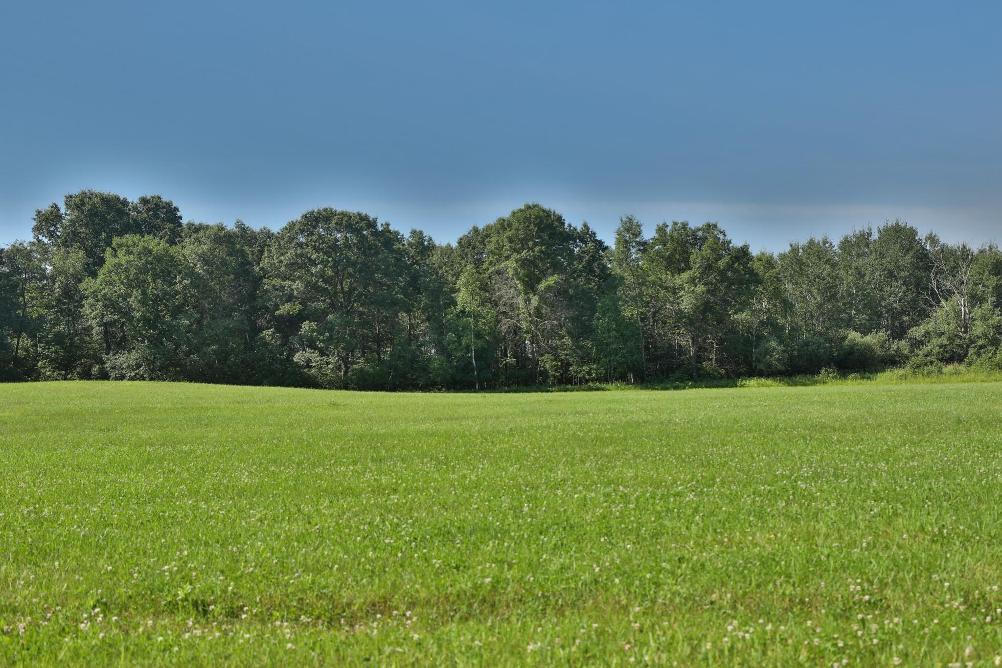 38.85 Ac County Road E