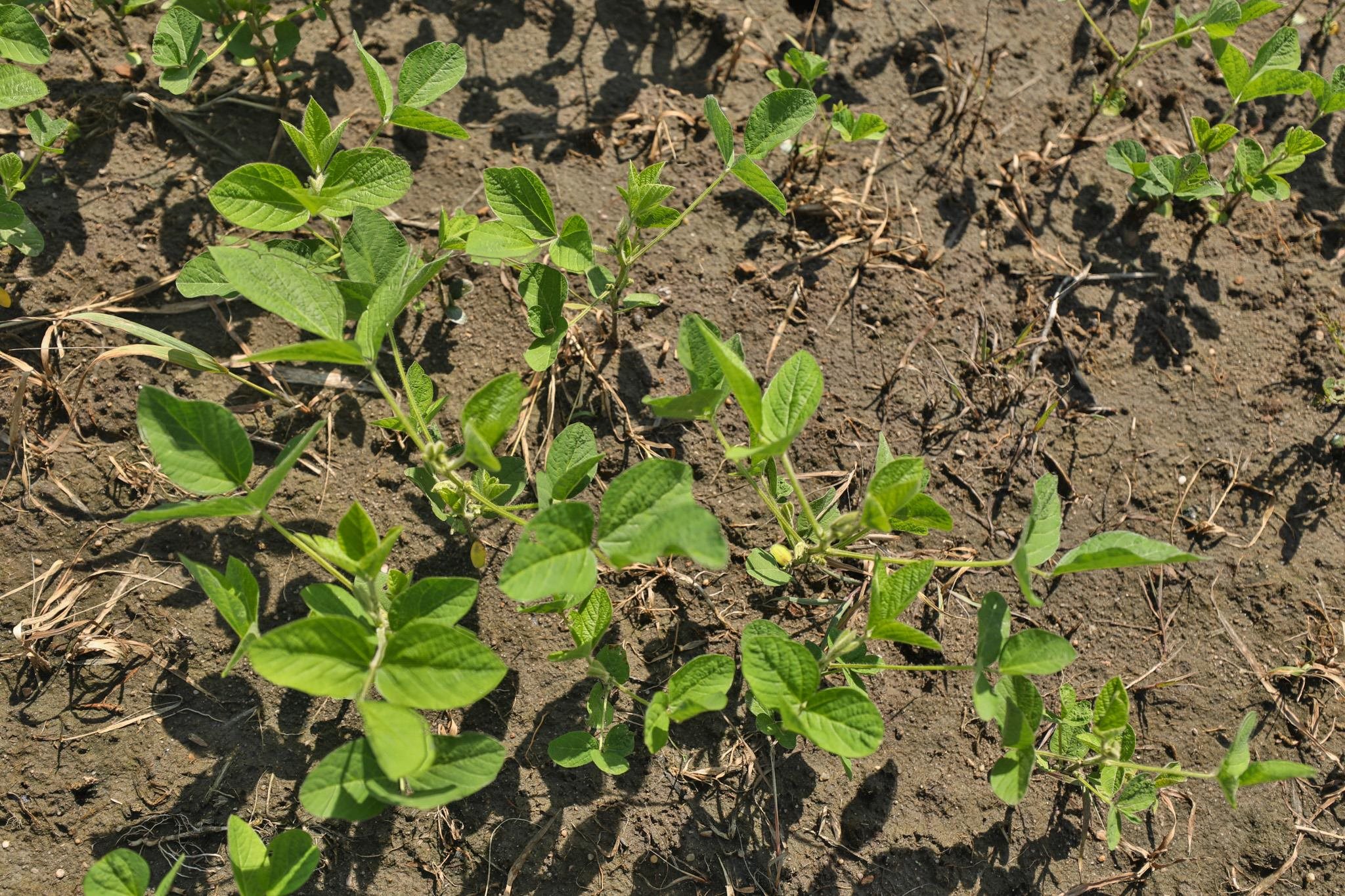 38.85 Ac County Road E