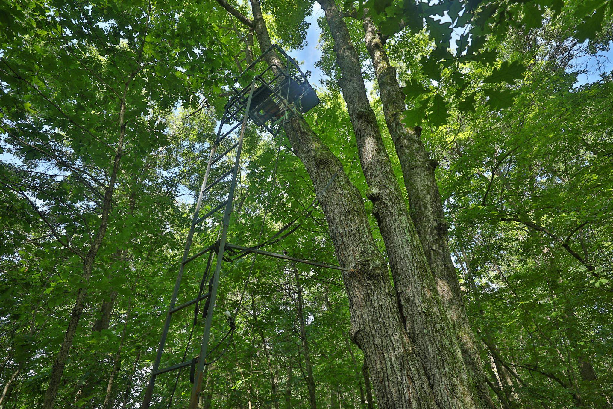 38.85 Ac County Road E