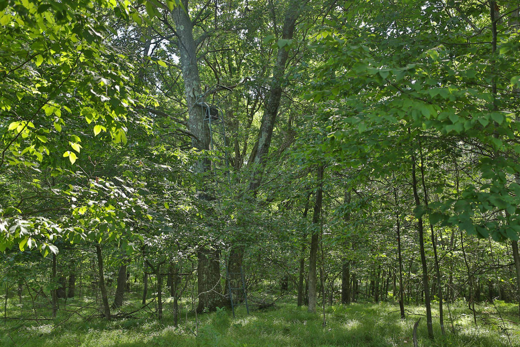 38.85 Ac County Road E