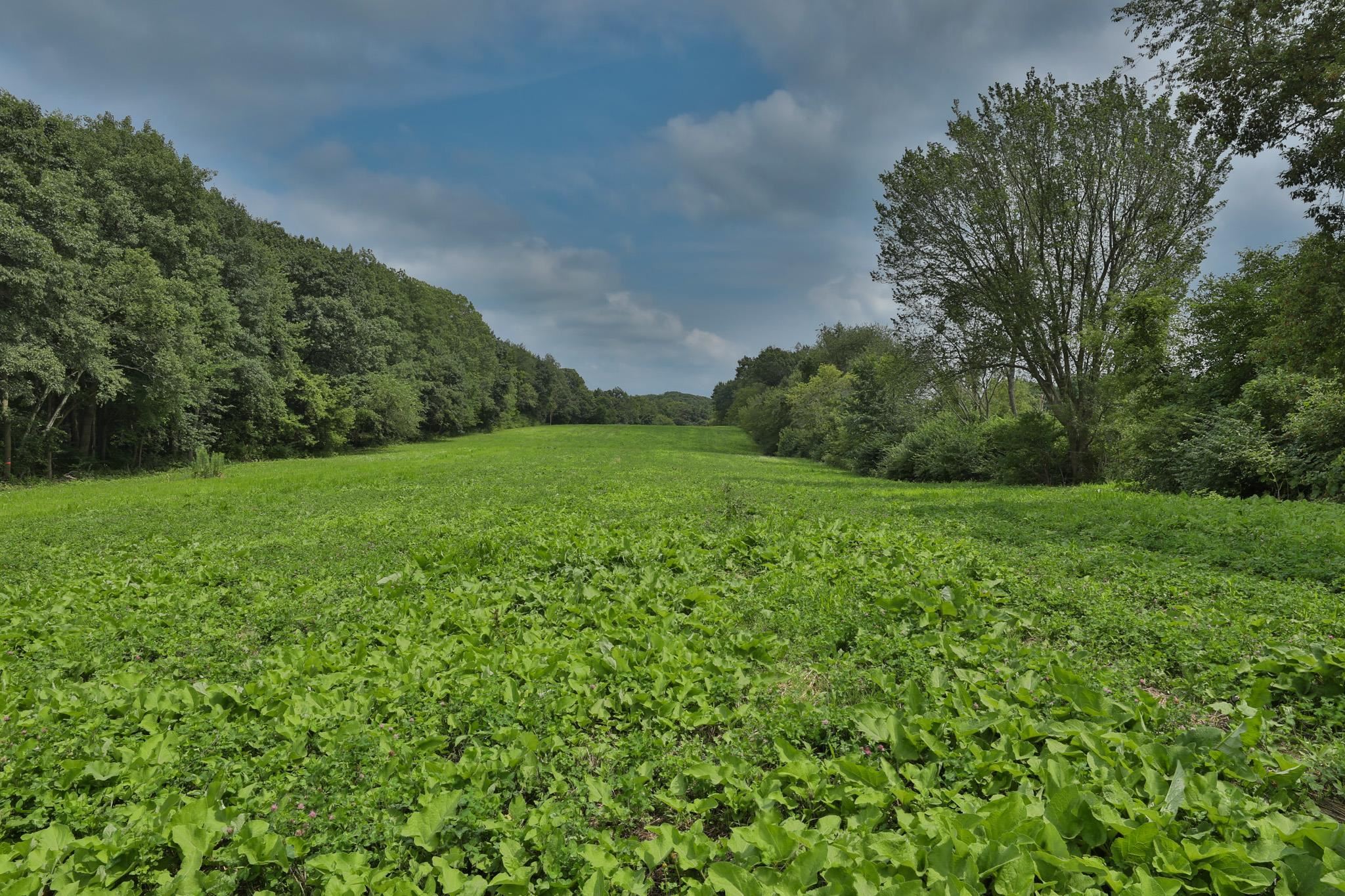W8299 Suldal Road