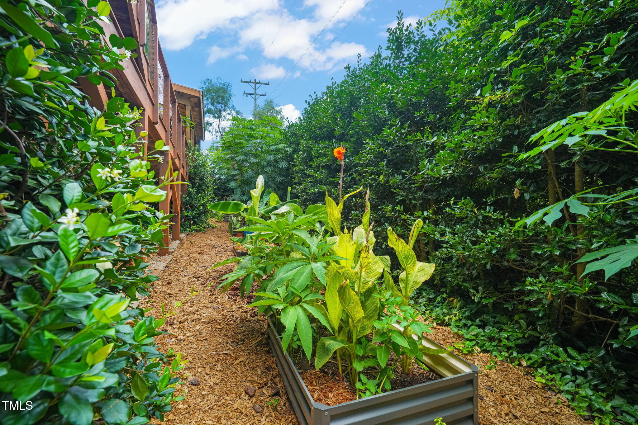 701 Holloway Street