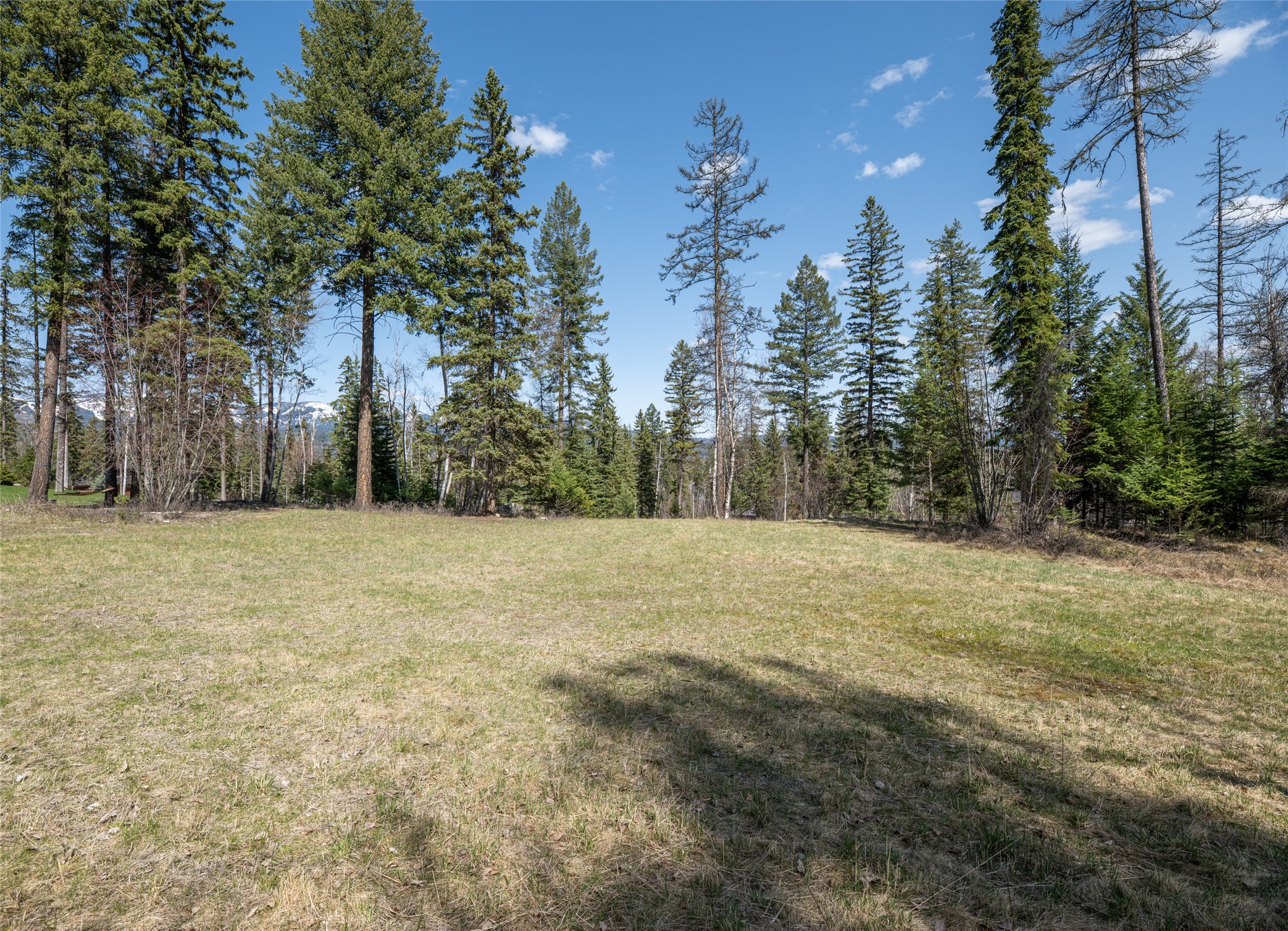 5 Merganser Court