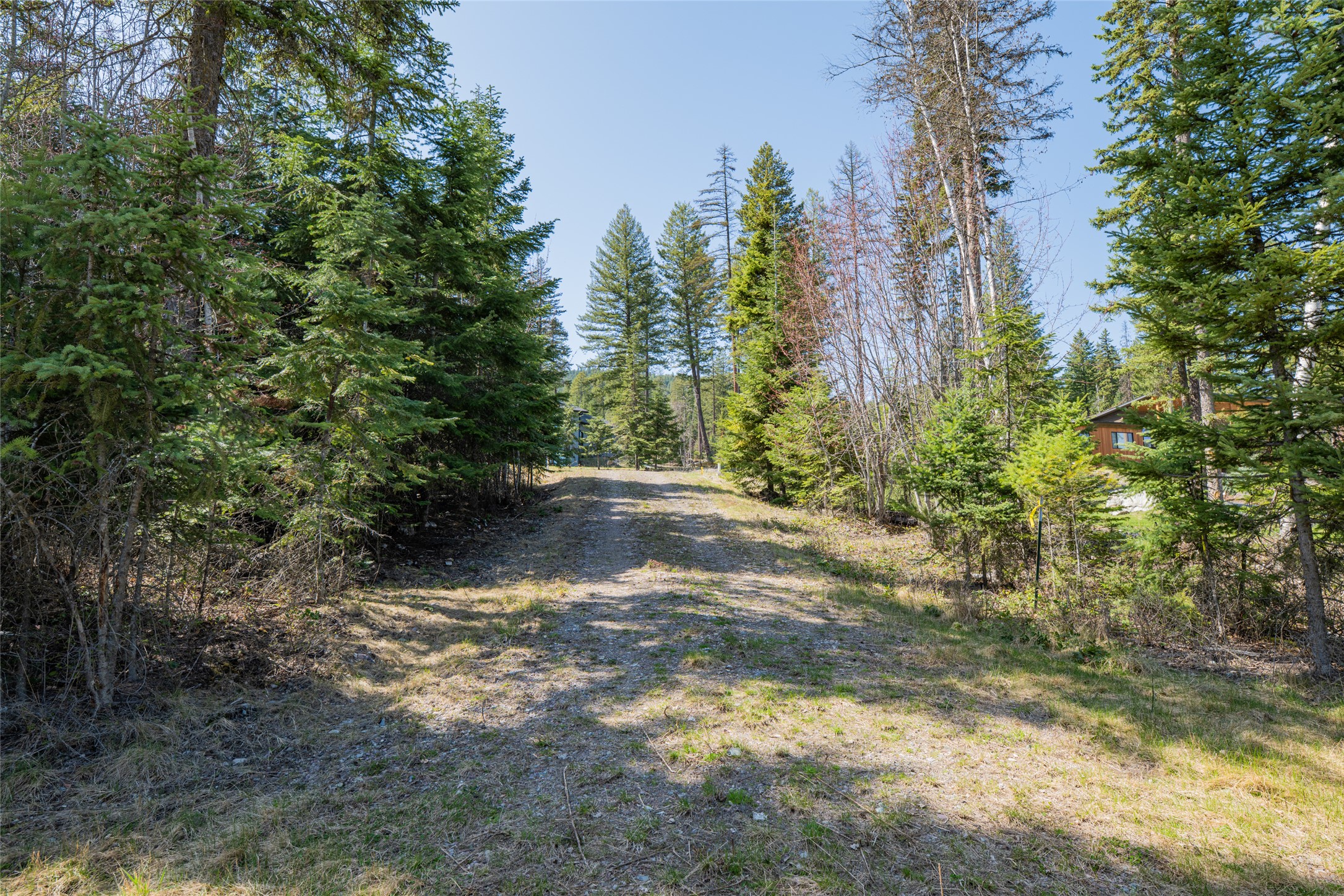 5 Merganser Court