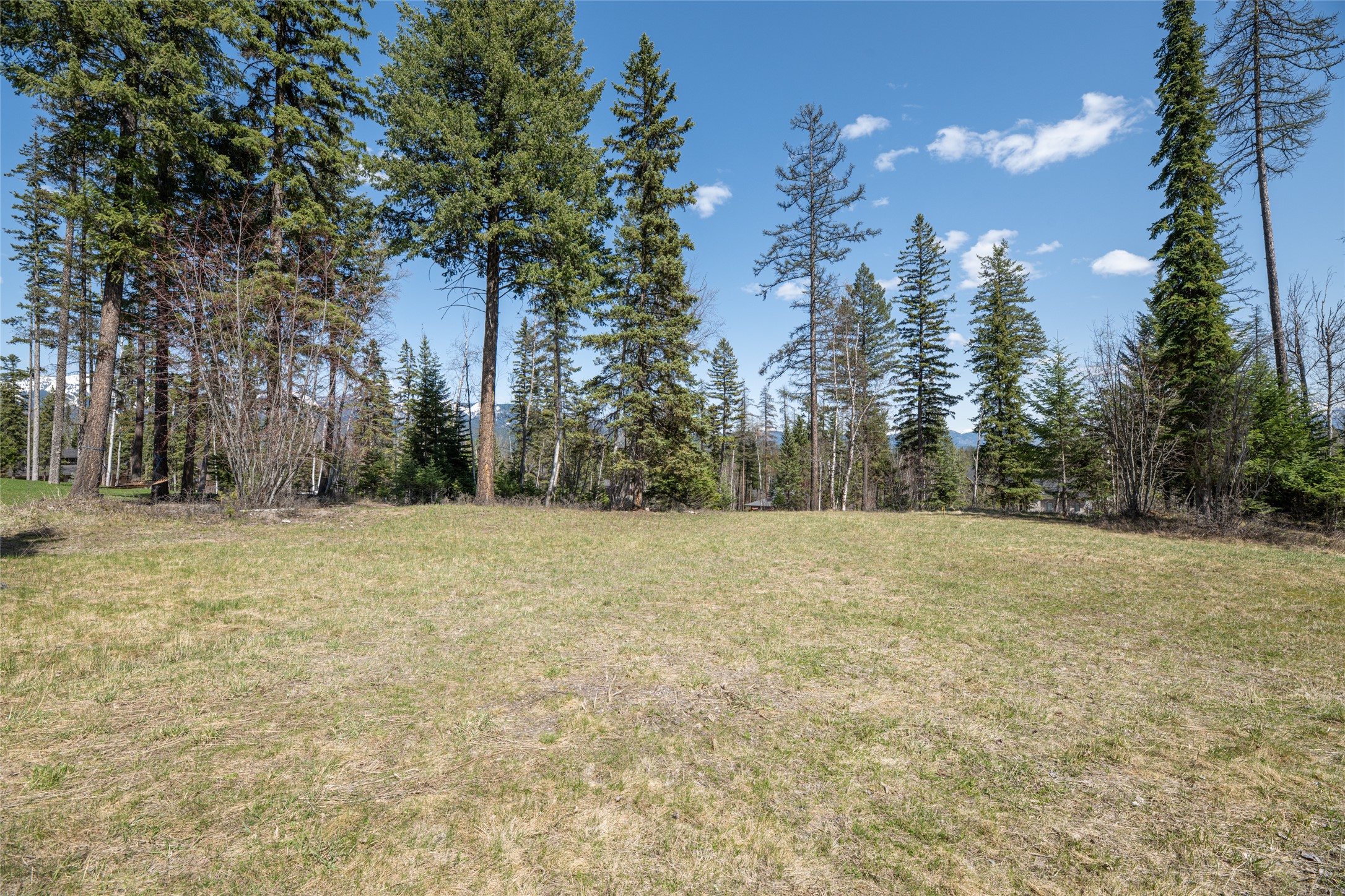 5 Merganser Court