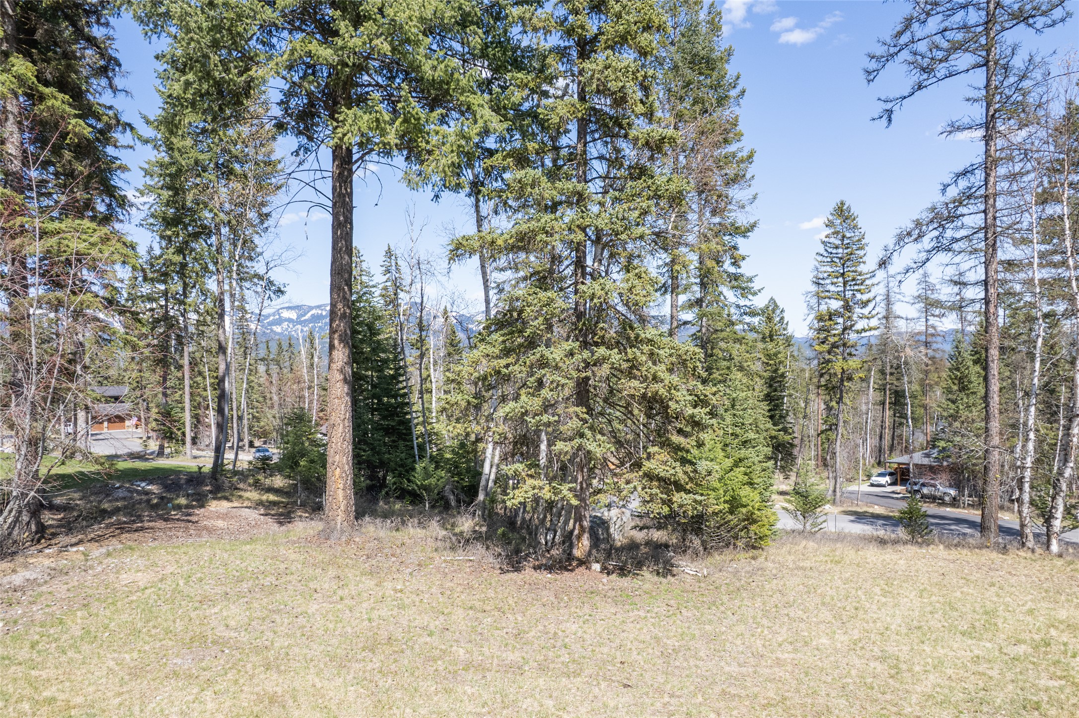5 Merganser Court