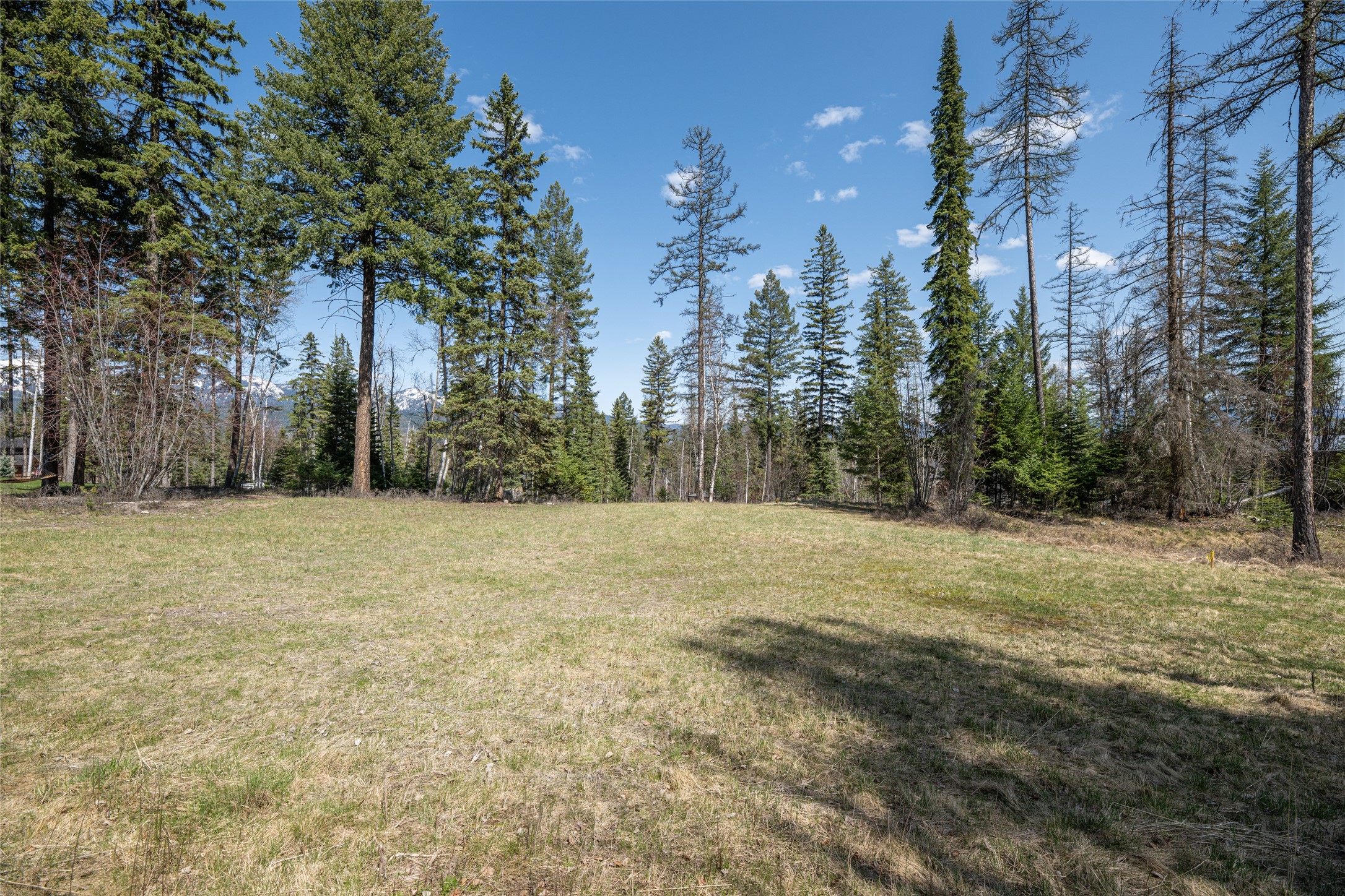 5 Merganser Court