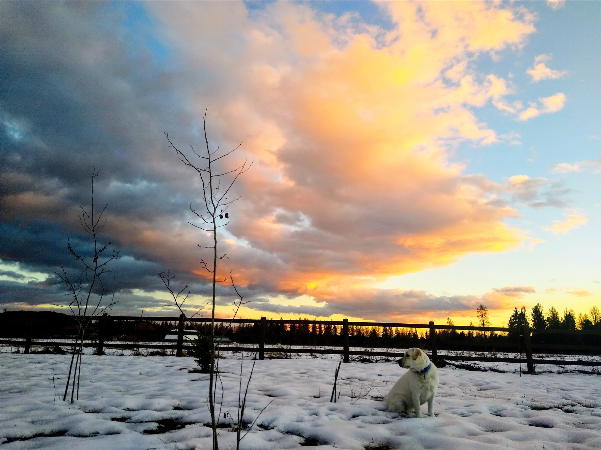 4395 Us Highway 93 W