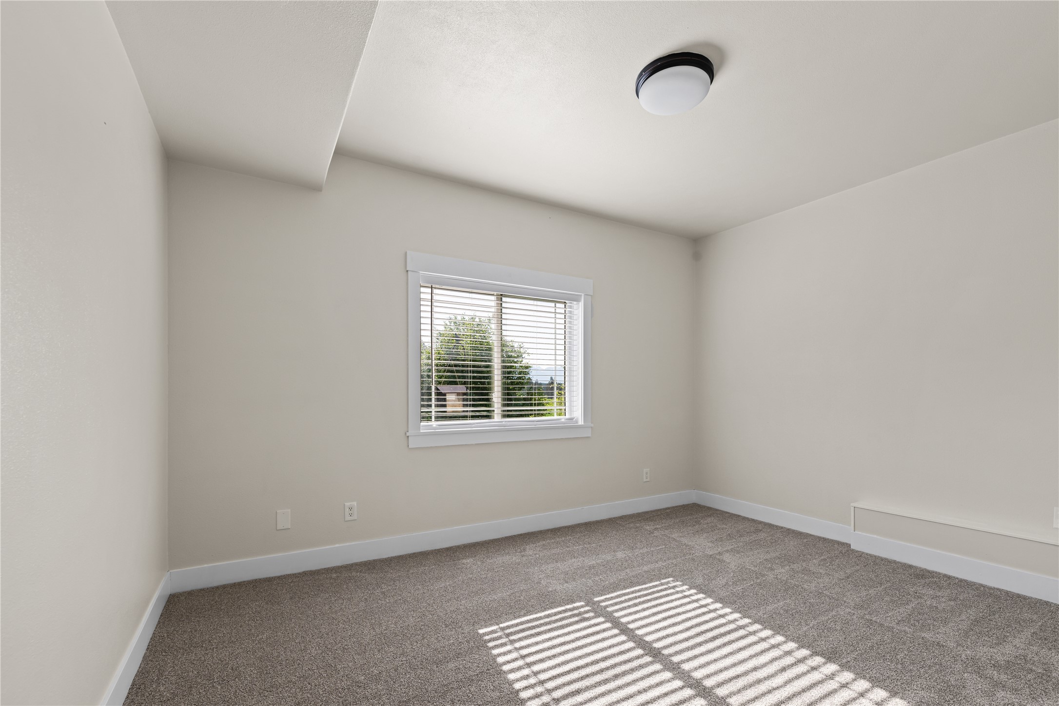 1683 Foxtail Drive