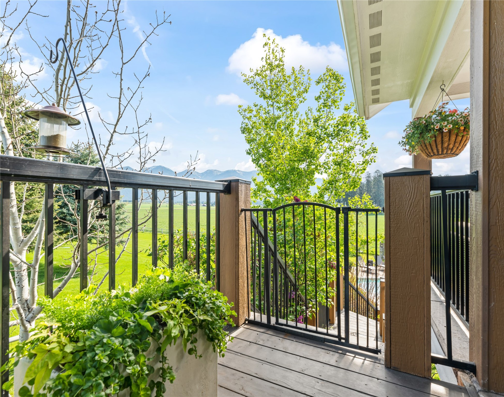 1683 Foxtail Drive