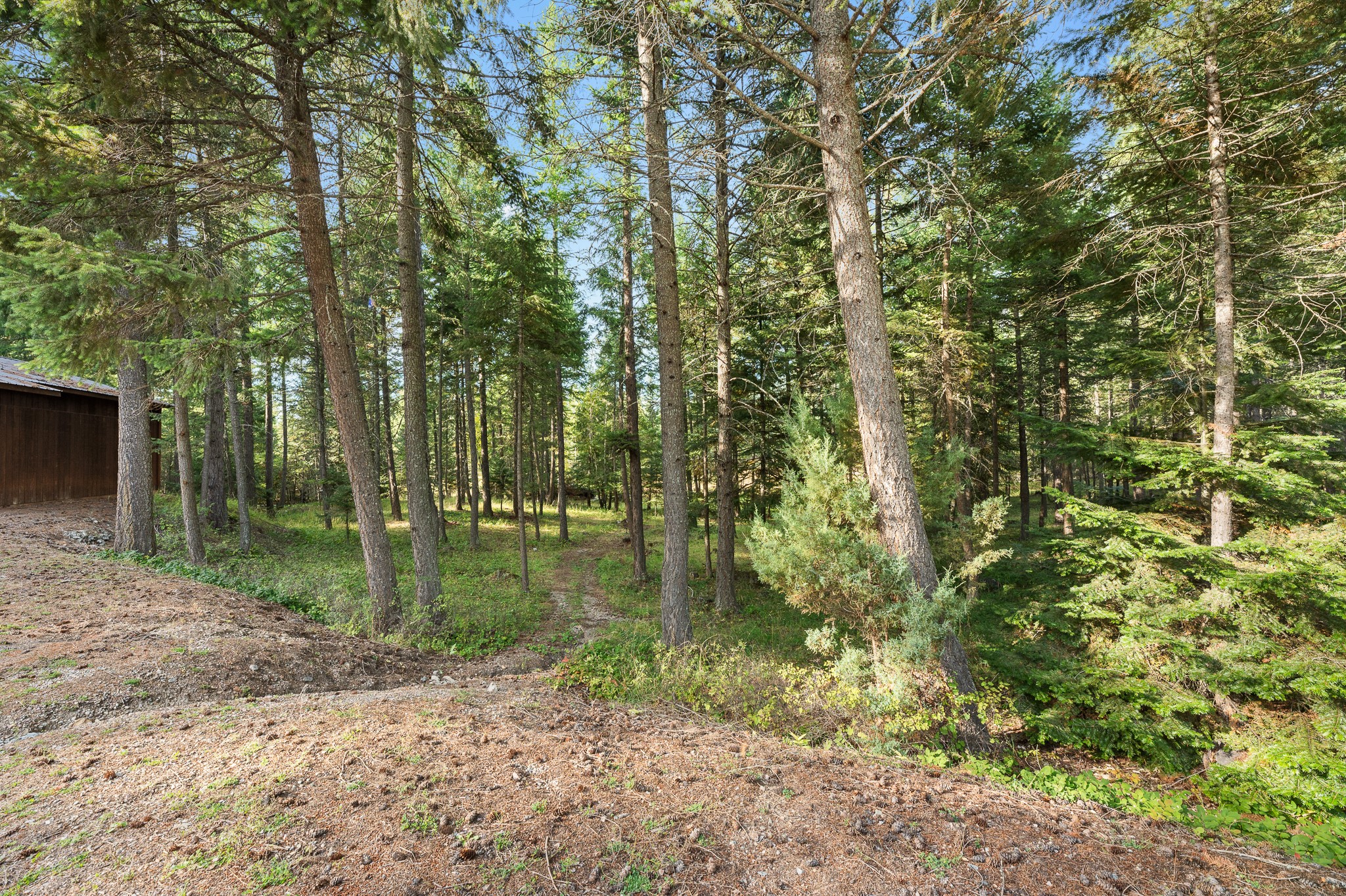 176 Blaine Ridge Road