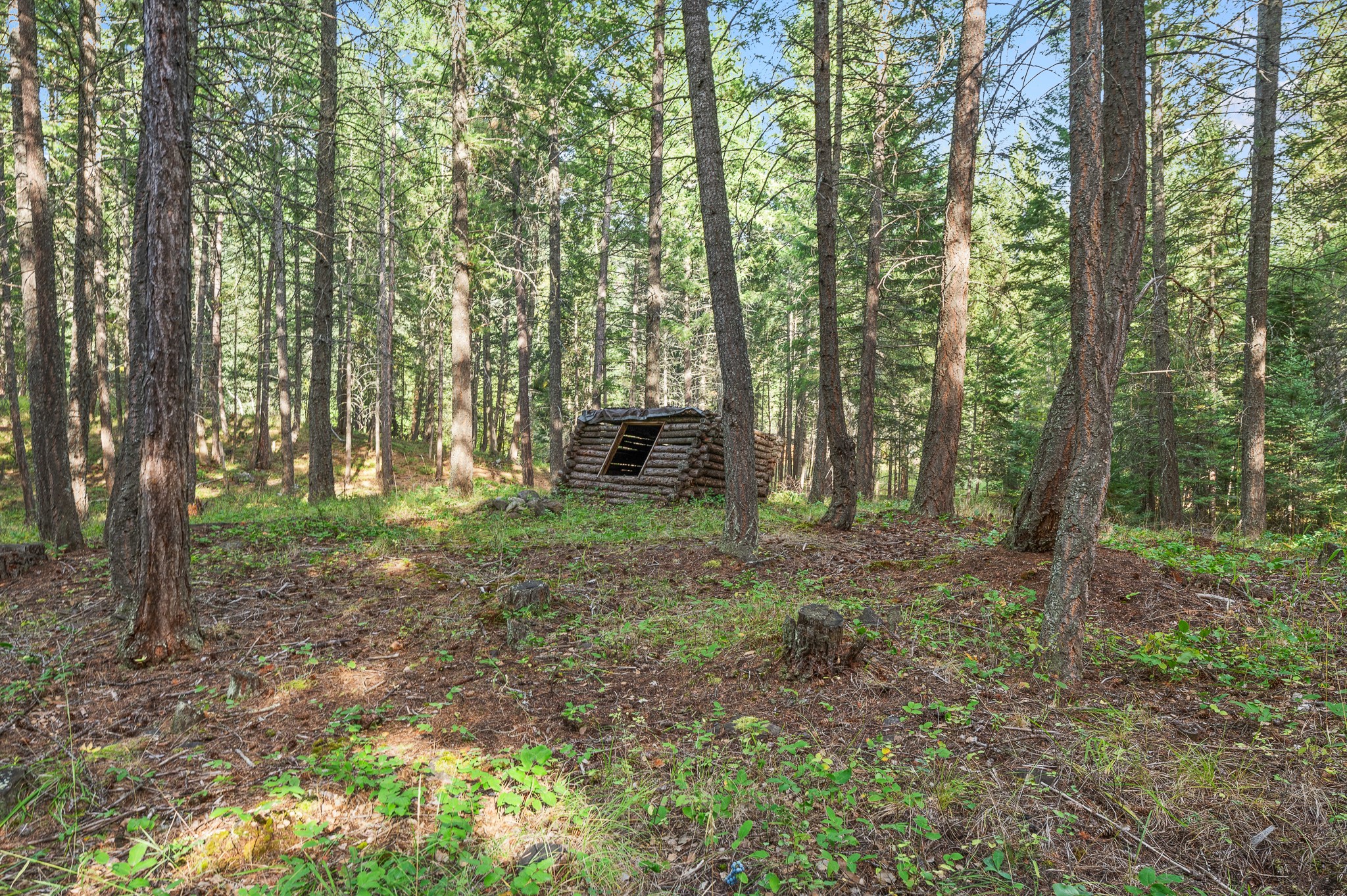 176 Blaine Ridge Road