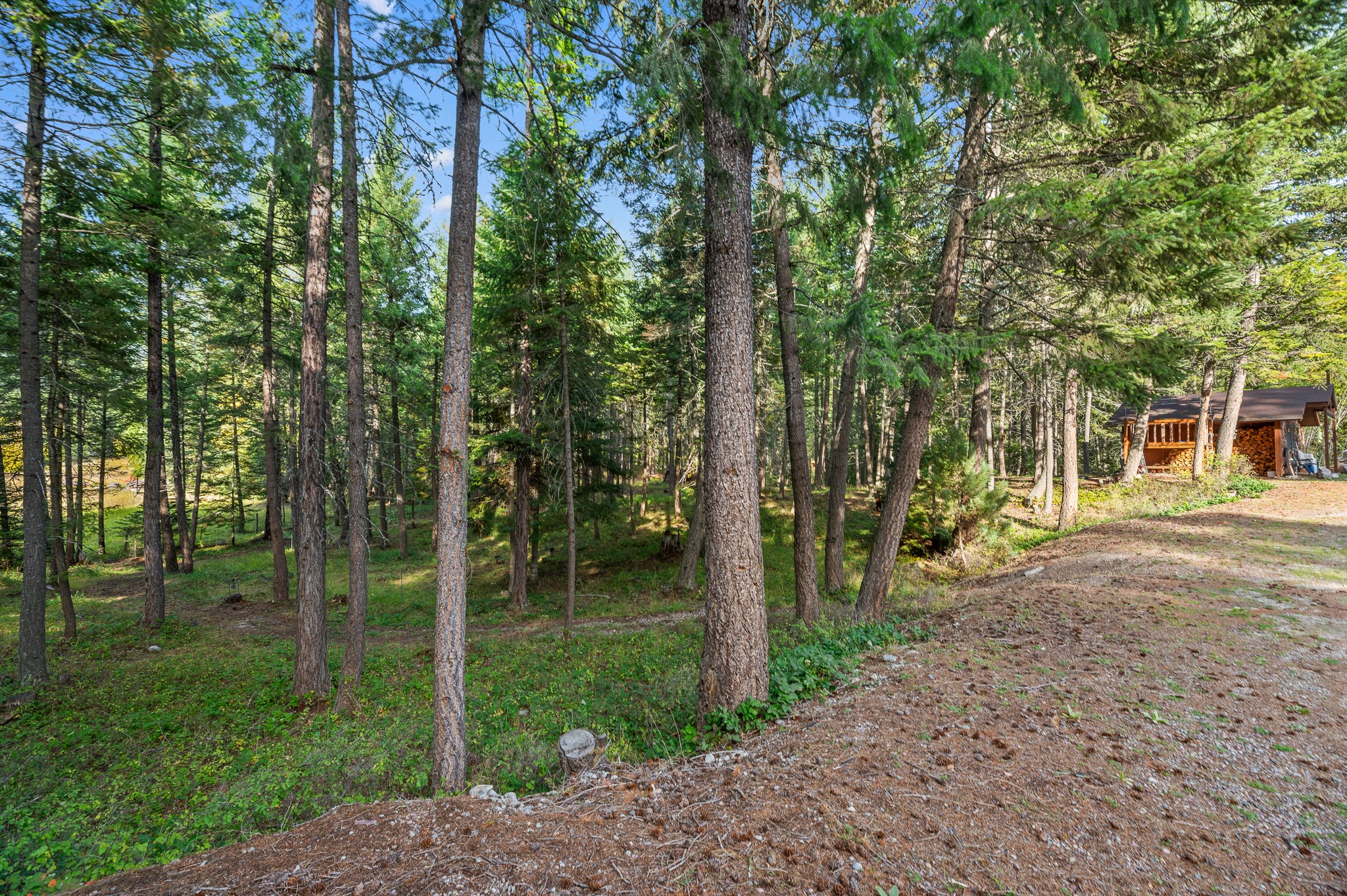 176 Blaine Ridge Road