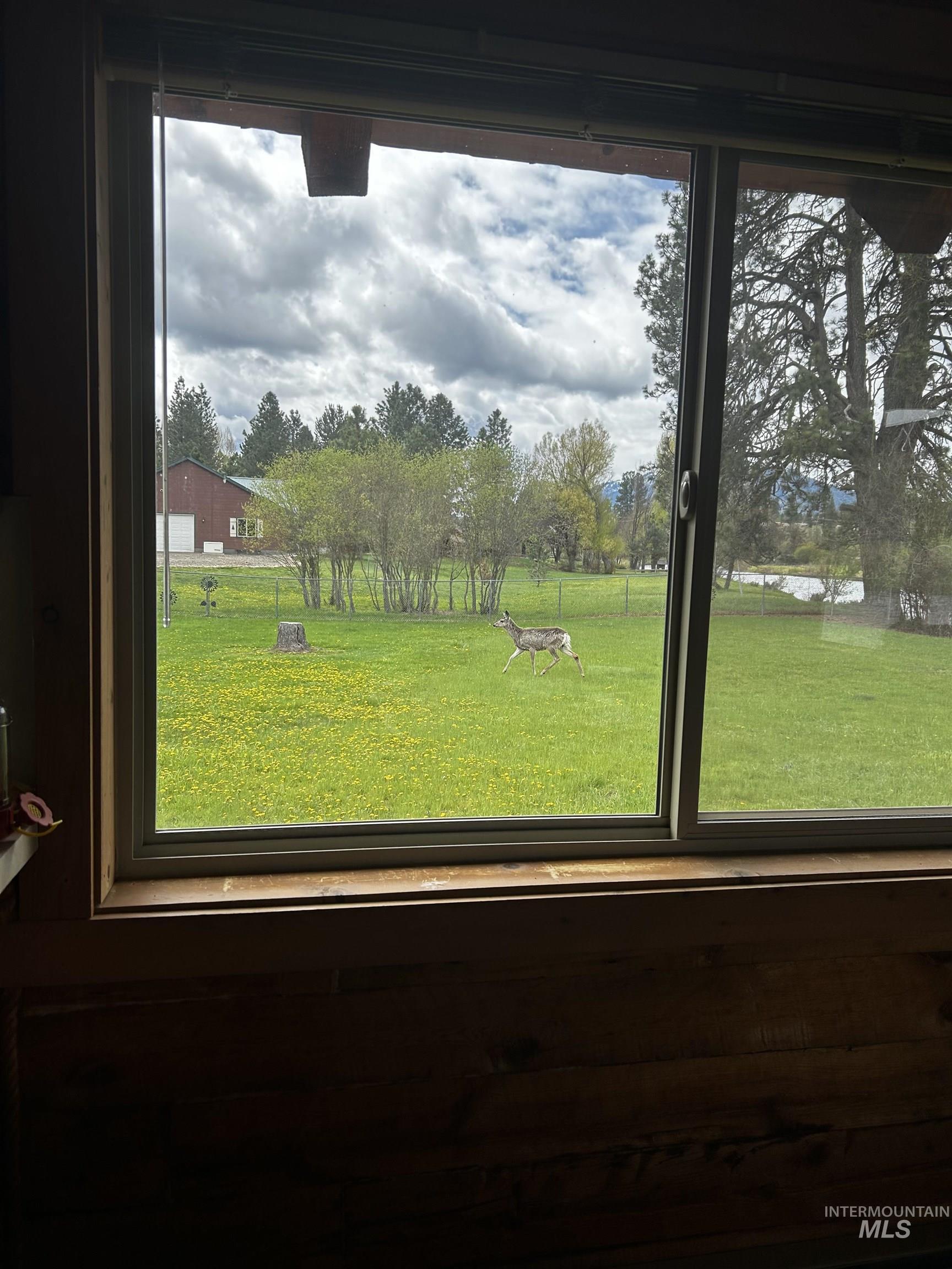 20 River Meadow