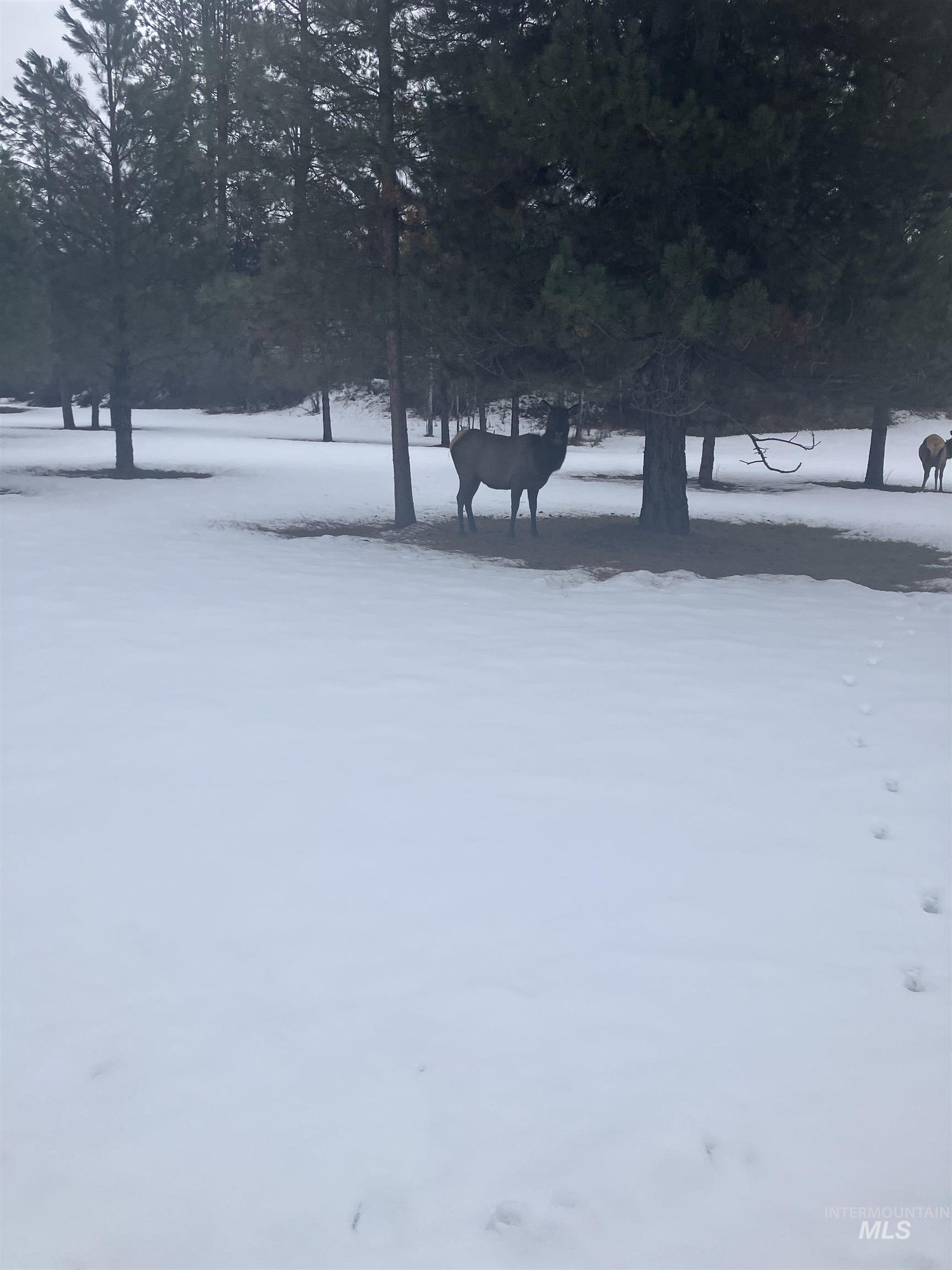 20 River Meadow