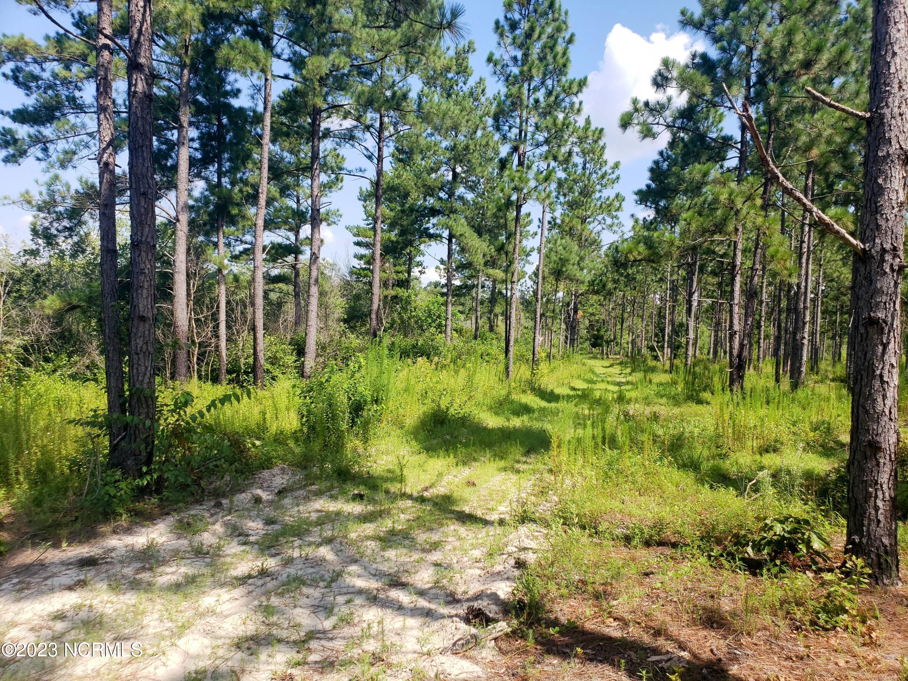 1768 Reservation Road