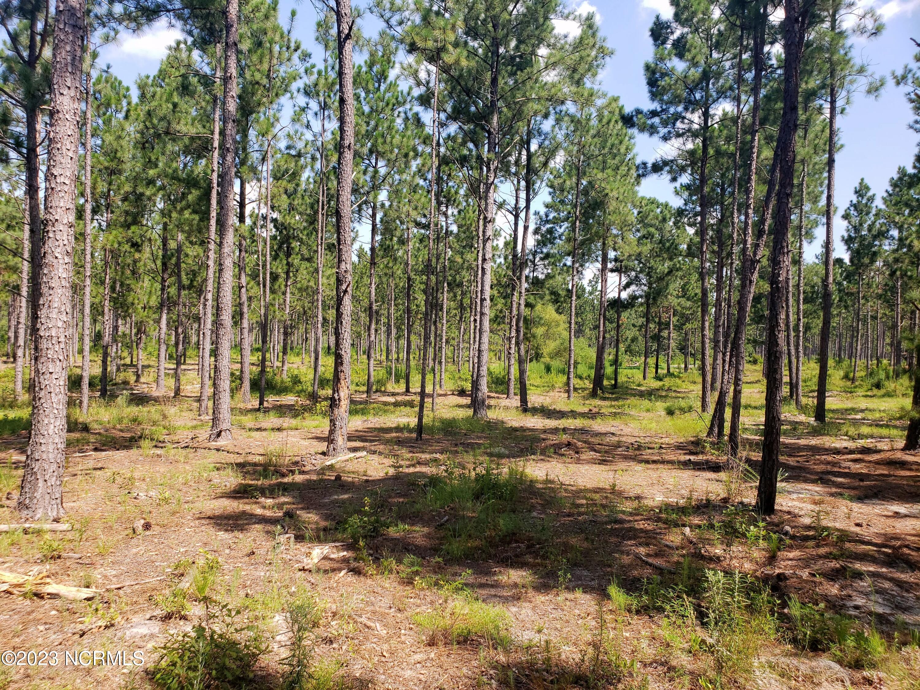 1768 Reservation Road