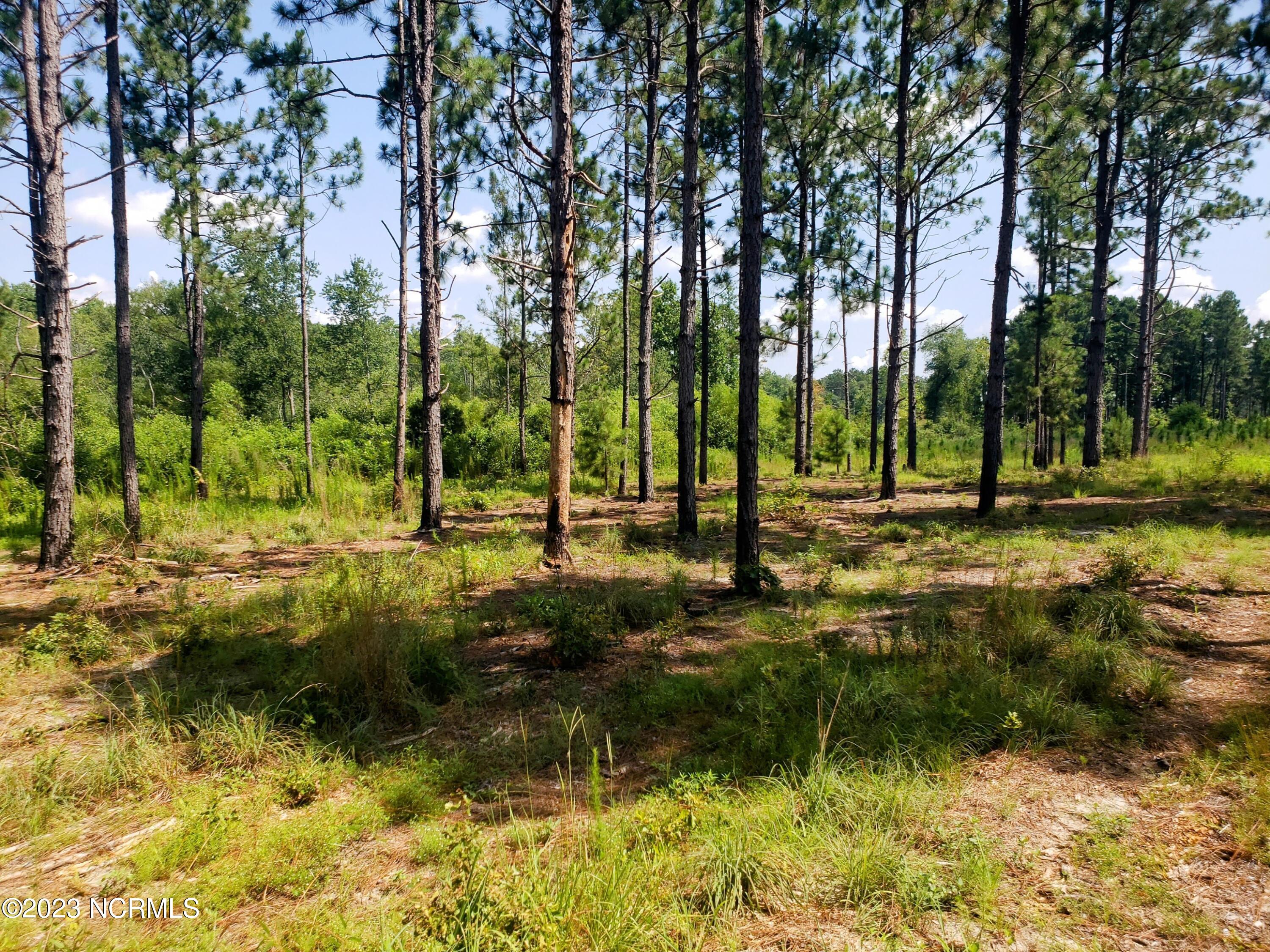 1768 Reservation Road