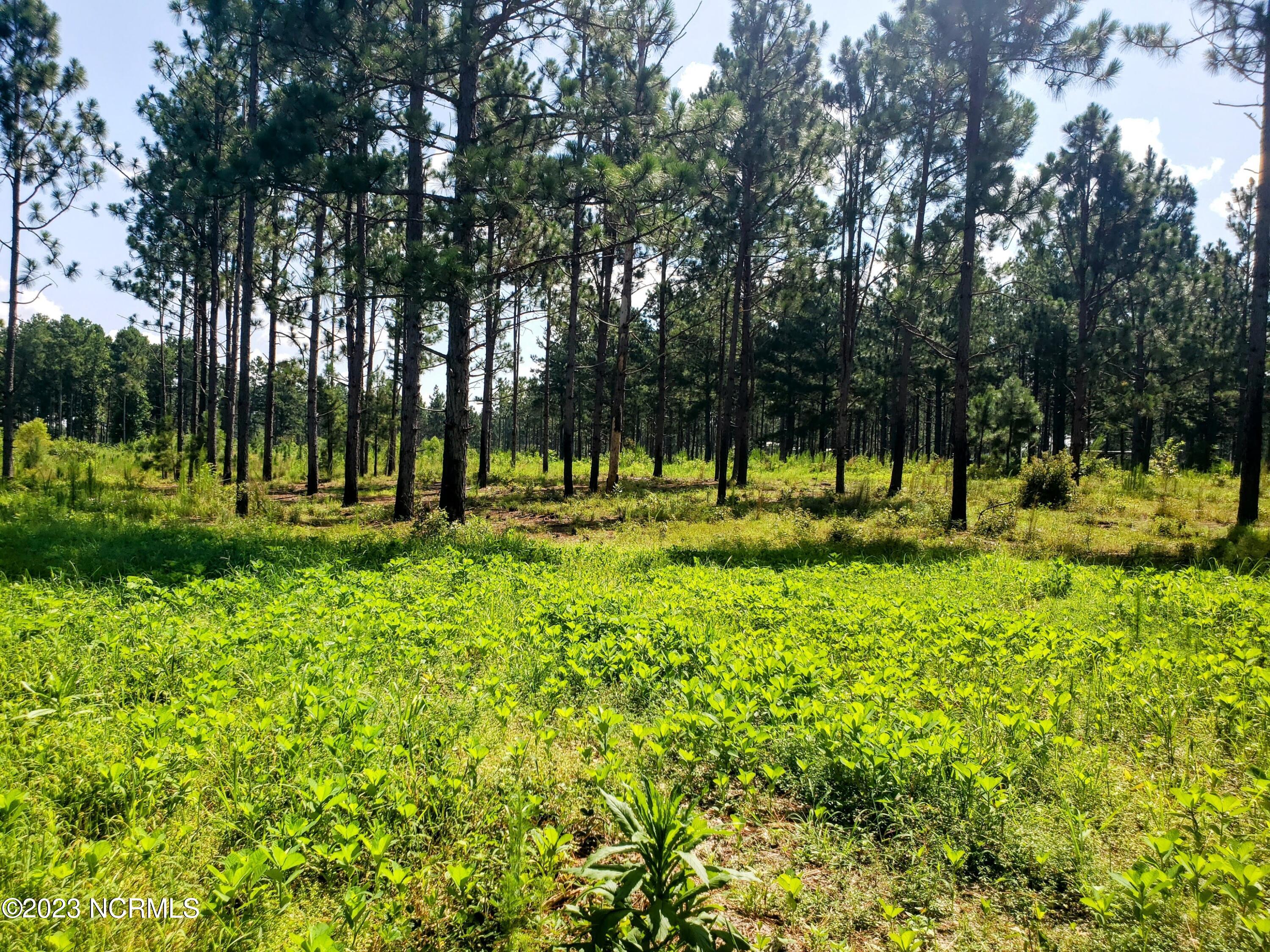 1738 Reservation Road
