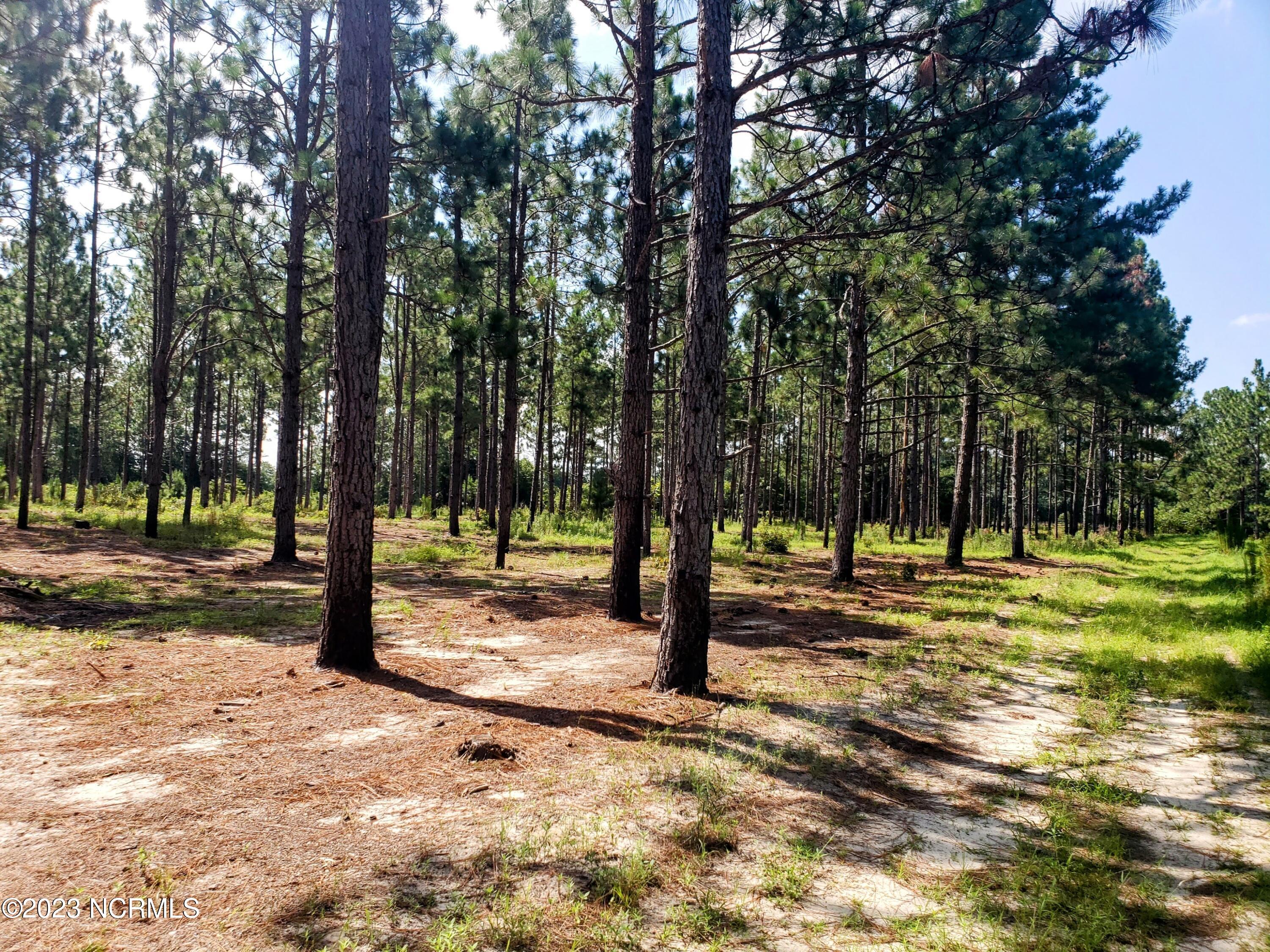 1738 Reservation Road