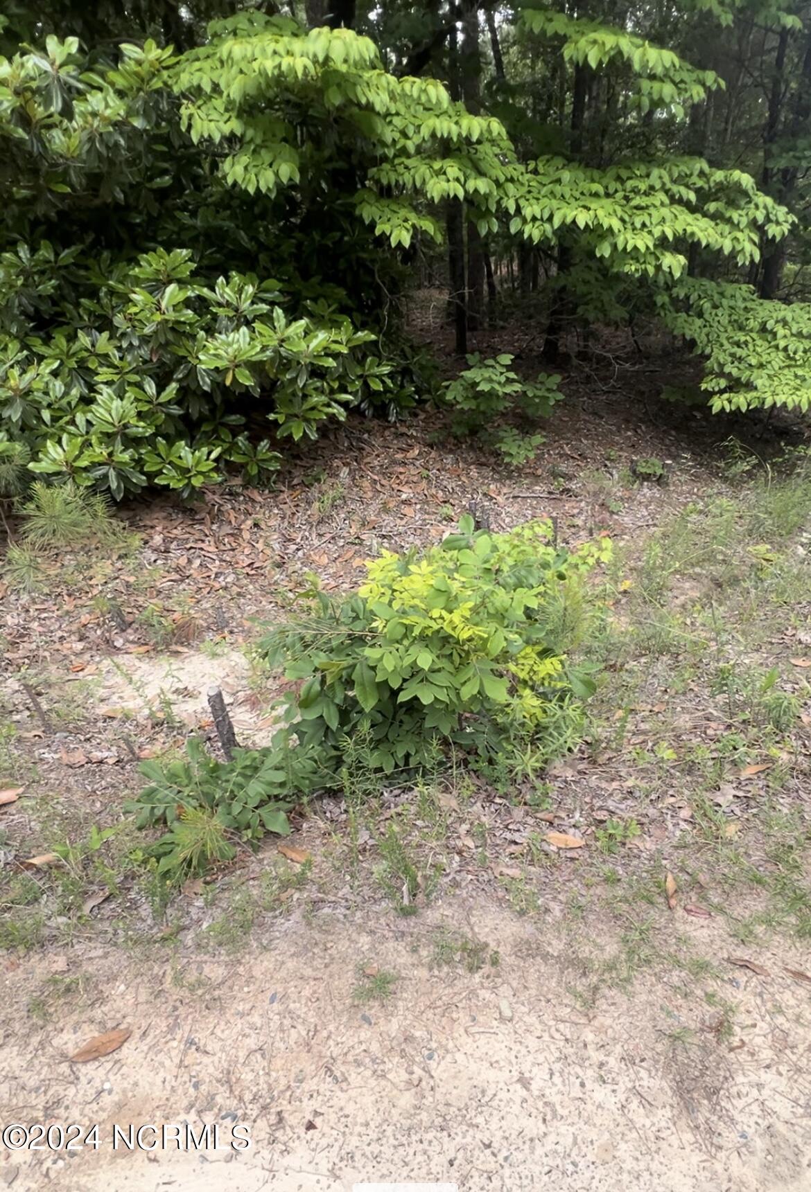 Lot 25 25 Cedar Ln Drive