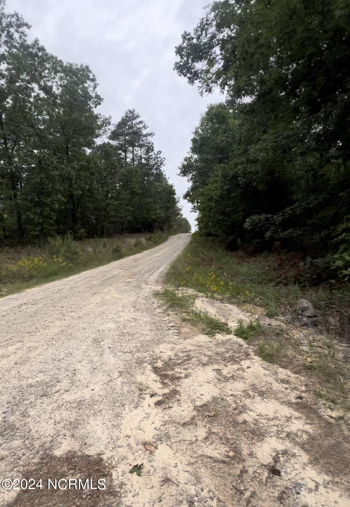 Lot 25 25 Cedar Ln Drive