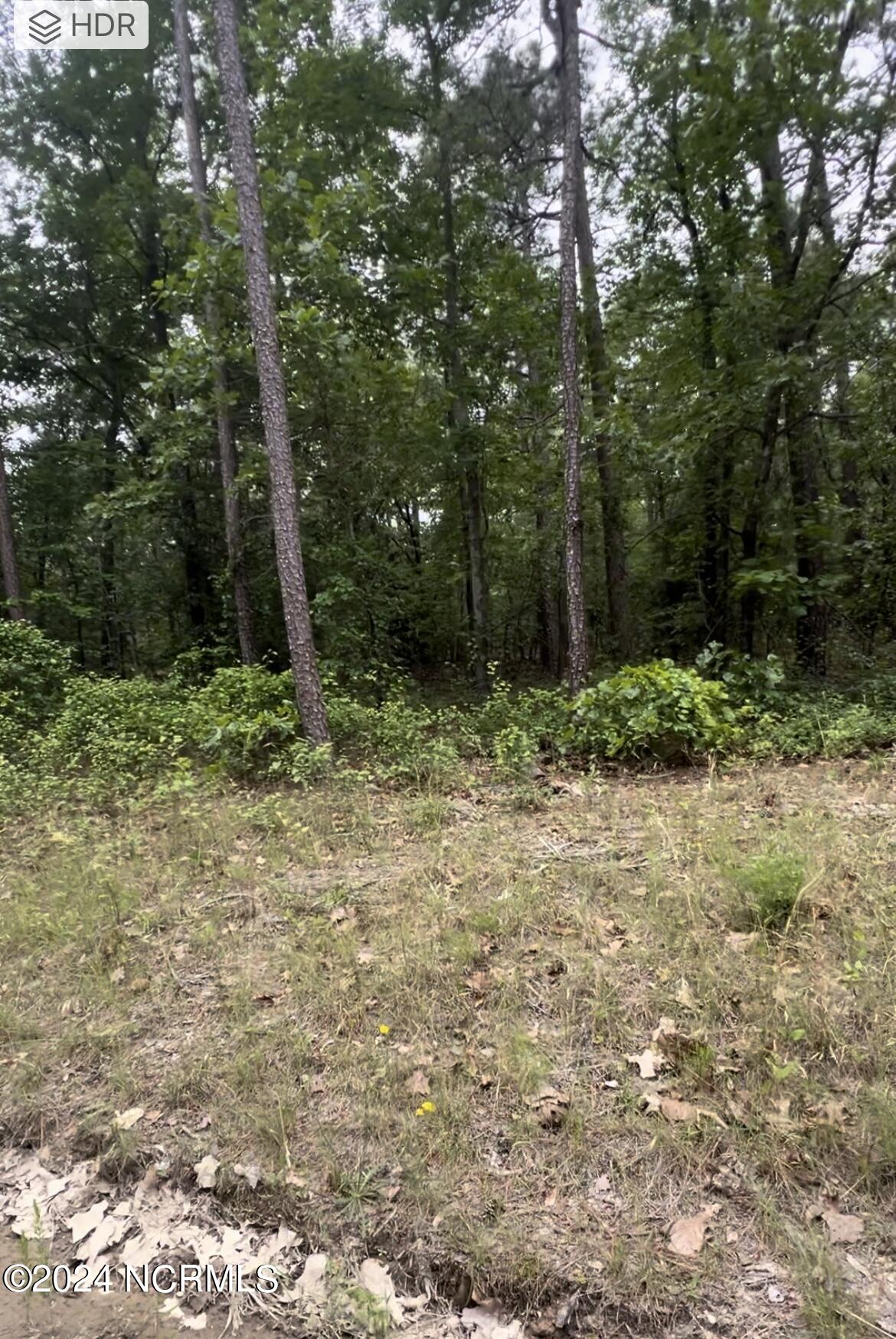 Lot 25 25 Cedar Ln Drive