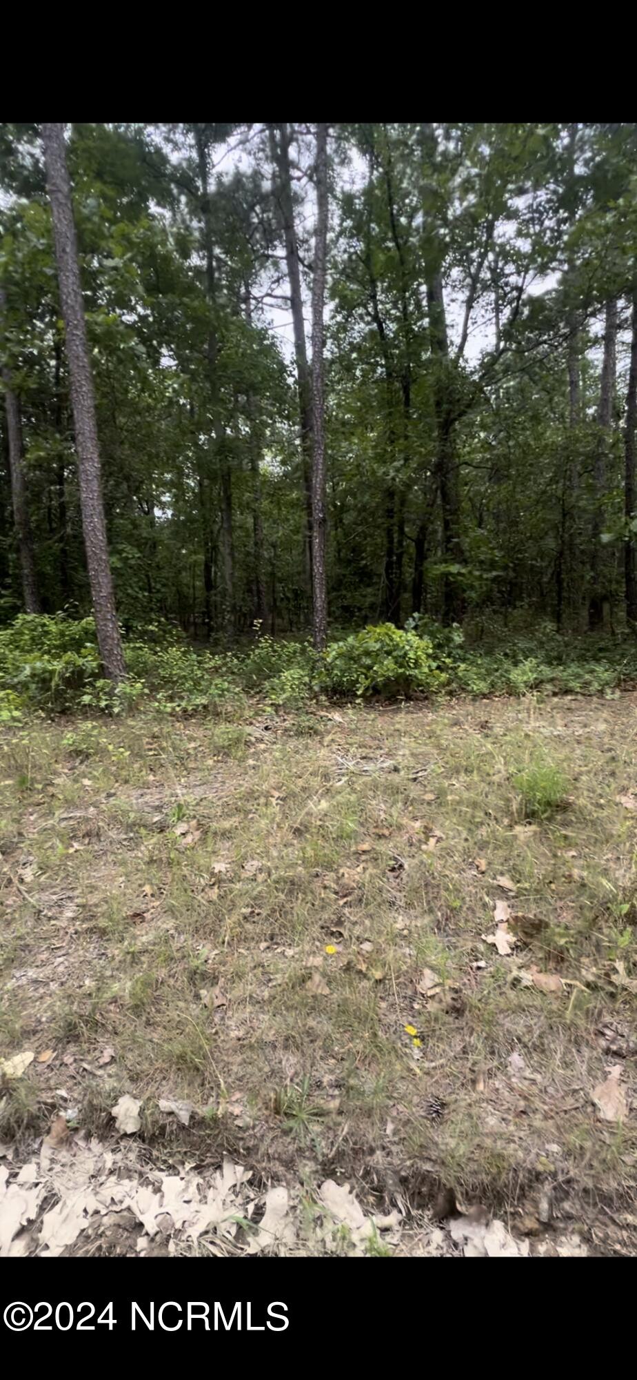 Lot 25 25 Cedar Ln Drive