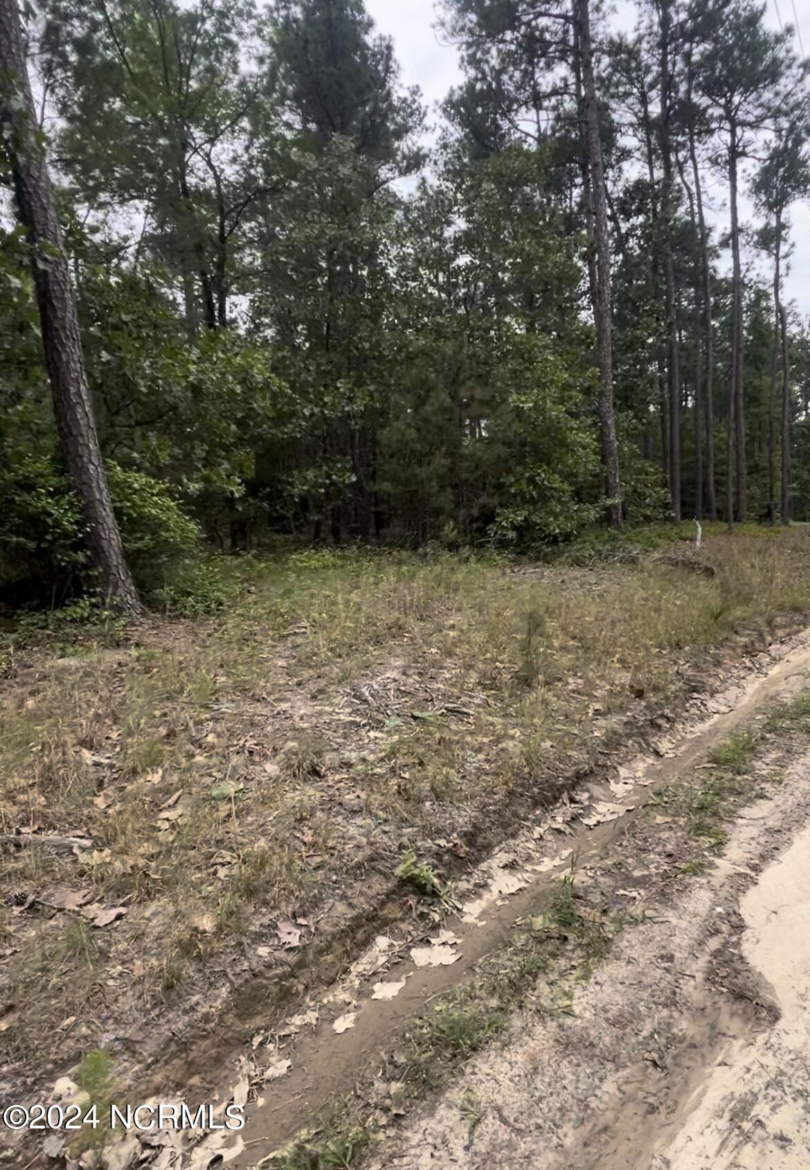 Lot 25 25 Cedar Ln Drive