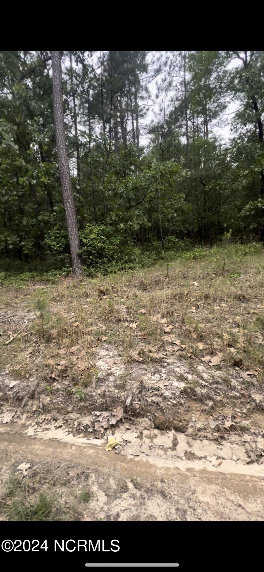 Lot 25 25 Cedar Ln Drive