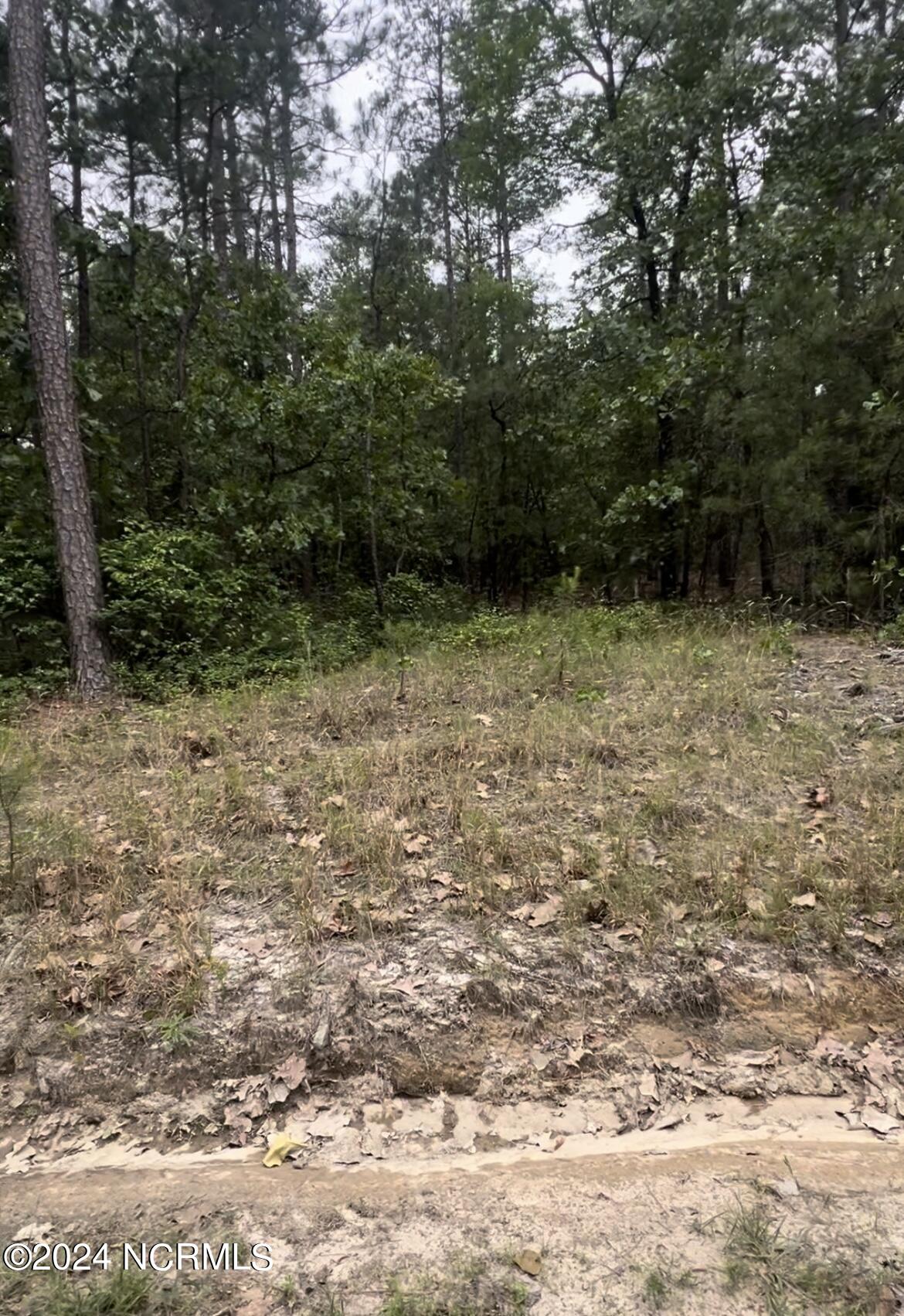 Lot 24 24 Cedar Ln Drive