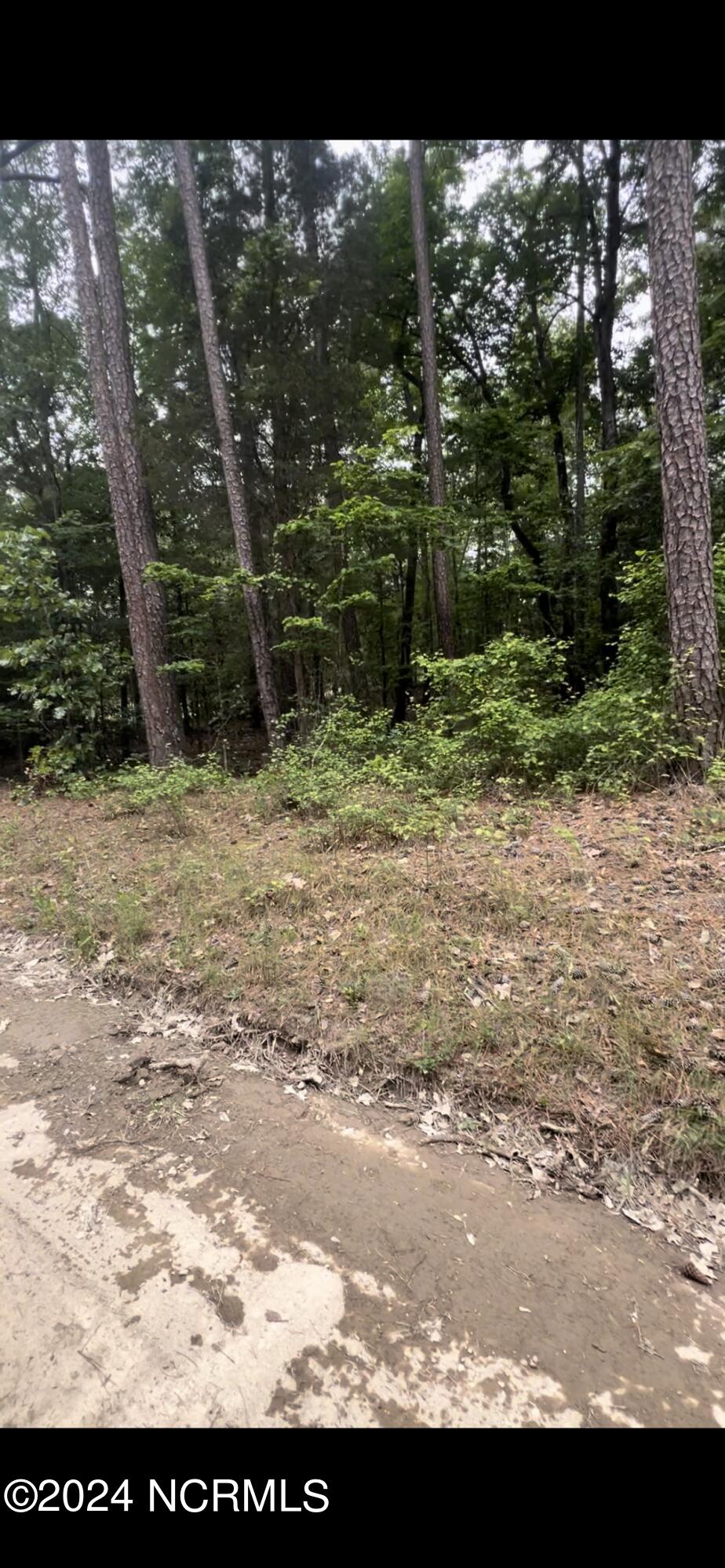 Lot 24 24 Cedar Ln Drive