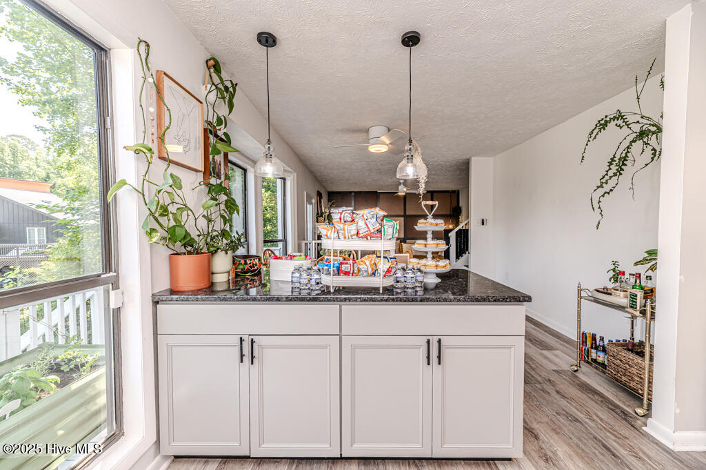 310 Picador Court