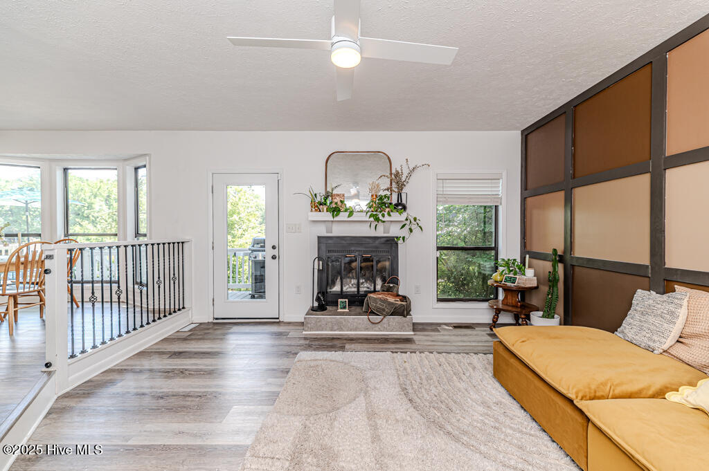 310 Picador Court