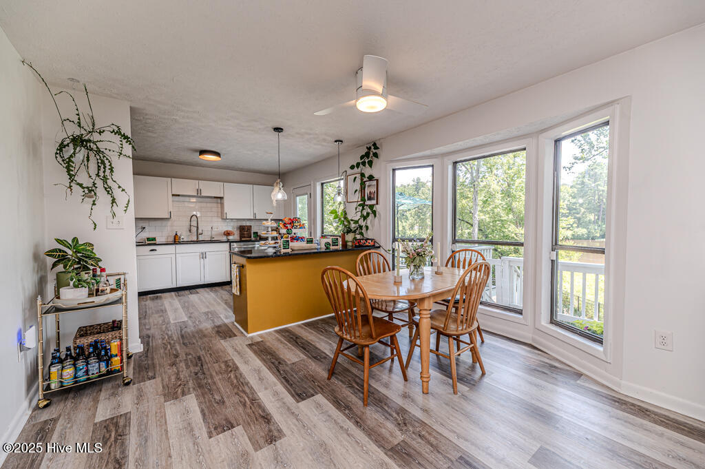 310 Picador Court