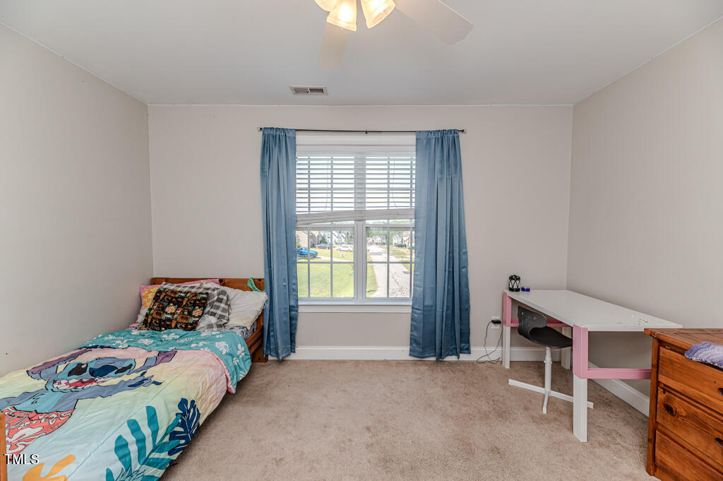 24 Carter Drive