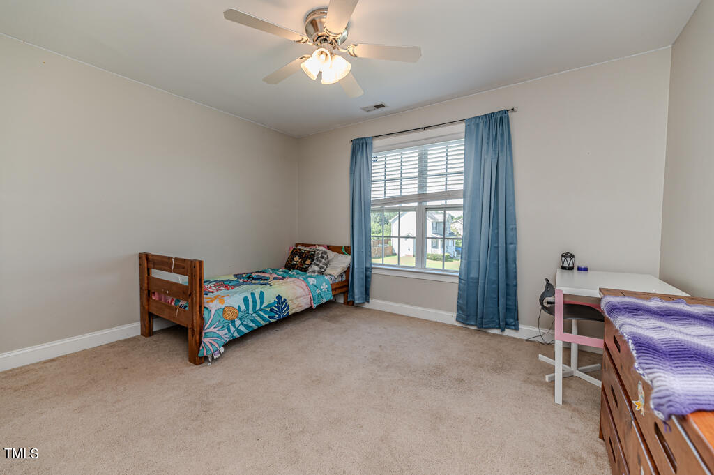 24 Carter Drive