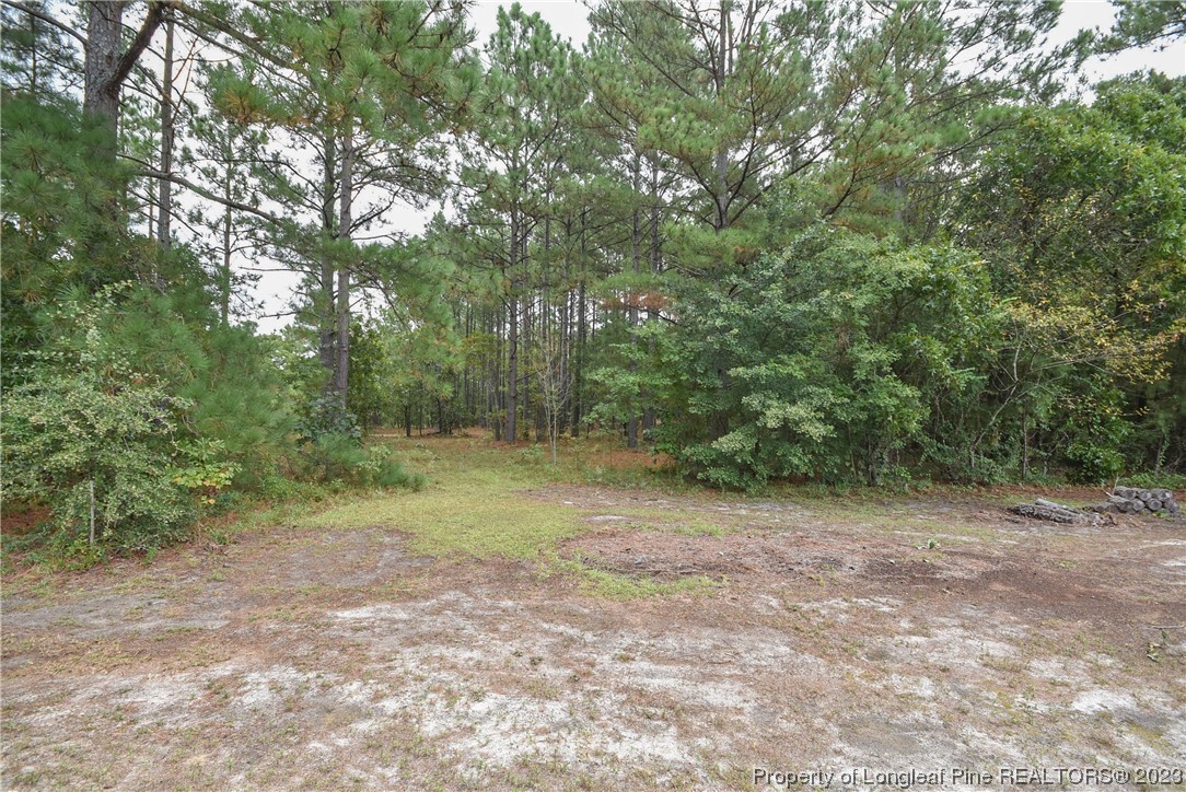 1205 Tingen Road