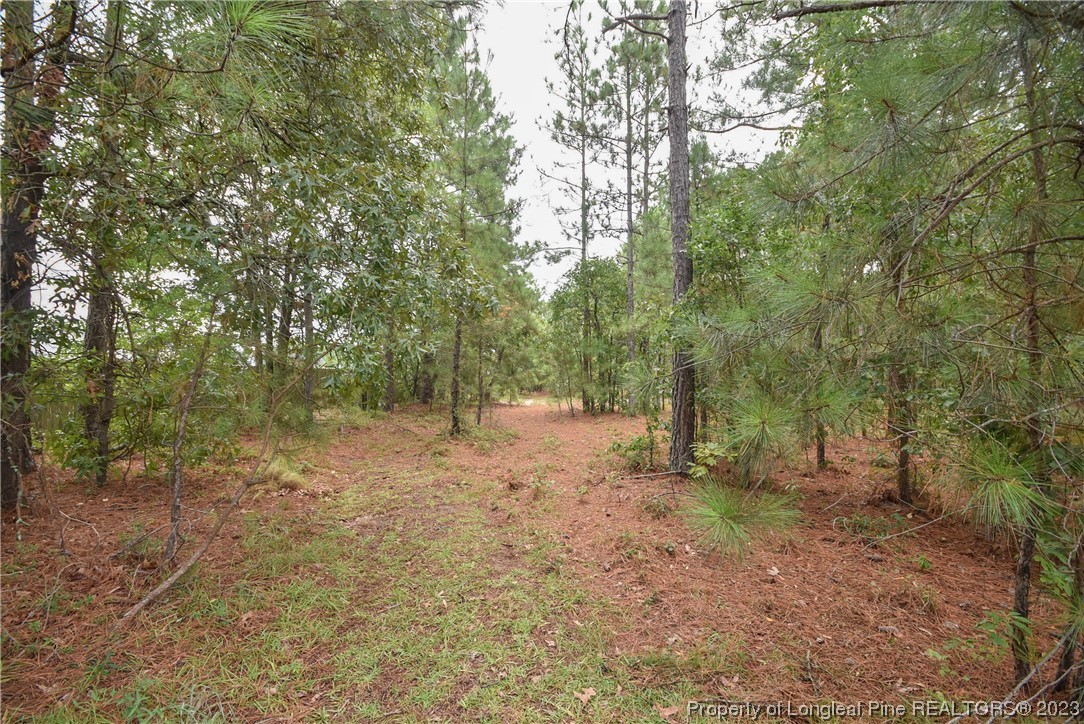 1205 Tingen Road