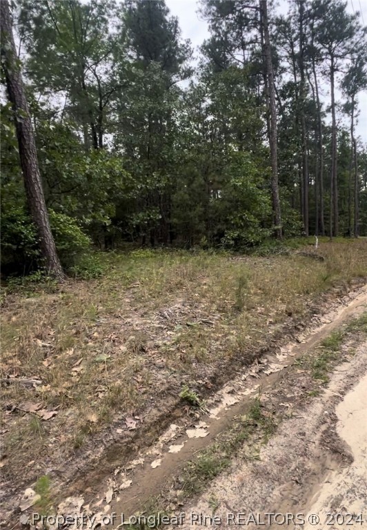 Lot 25 Cedar Lane