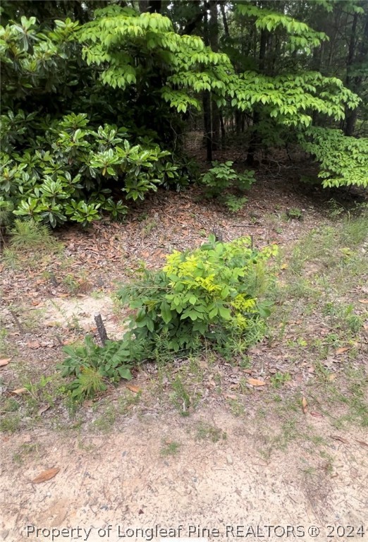 Lot 25 Cedar Lane