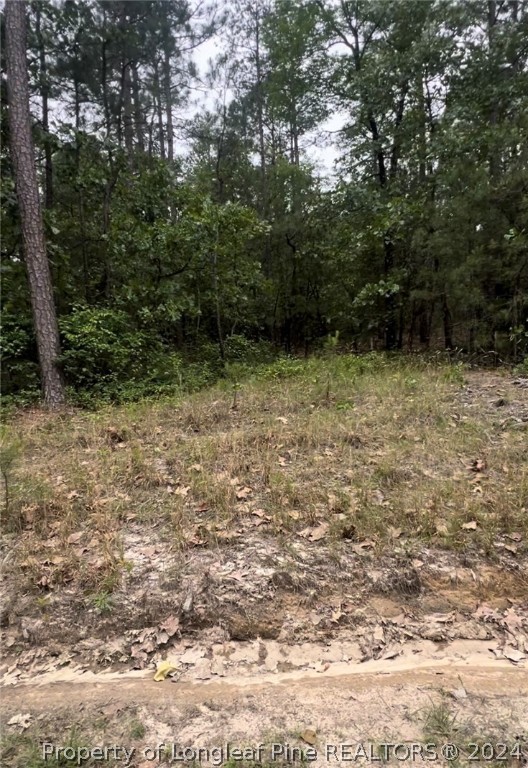 Lot 25 Cedar Lane