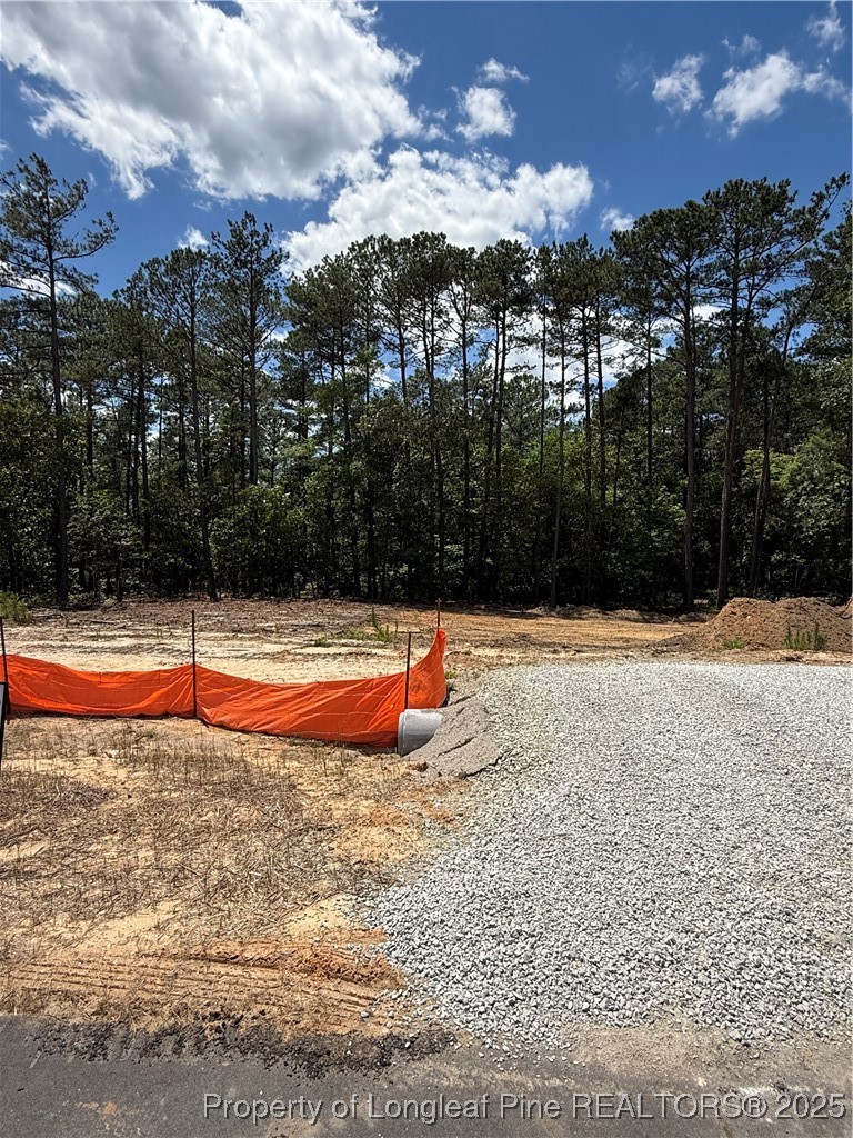 566 Blossom Trail