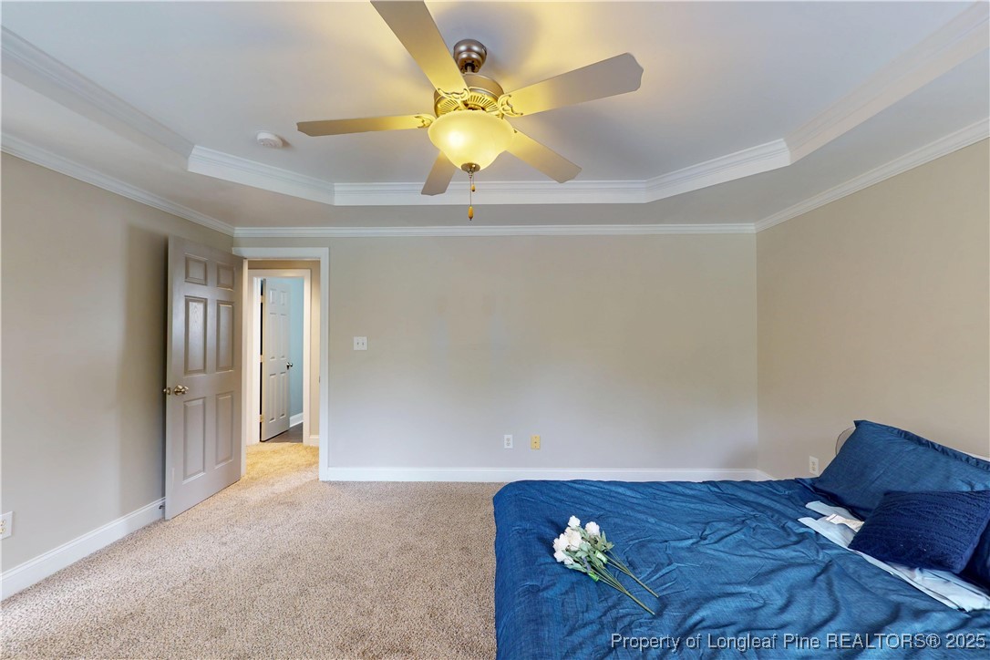24 Carter Drive