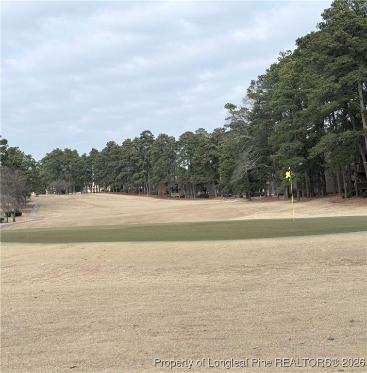 5 Pine Tree Terrace 205