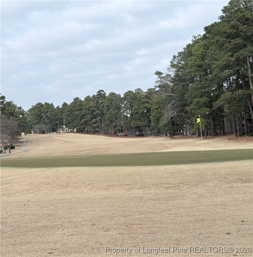 5 Pine Tree Terrace 205