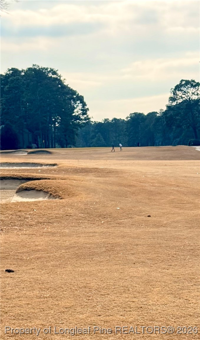 5 Pine Tree Terrace 205