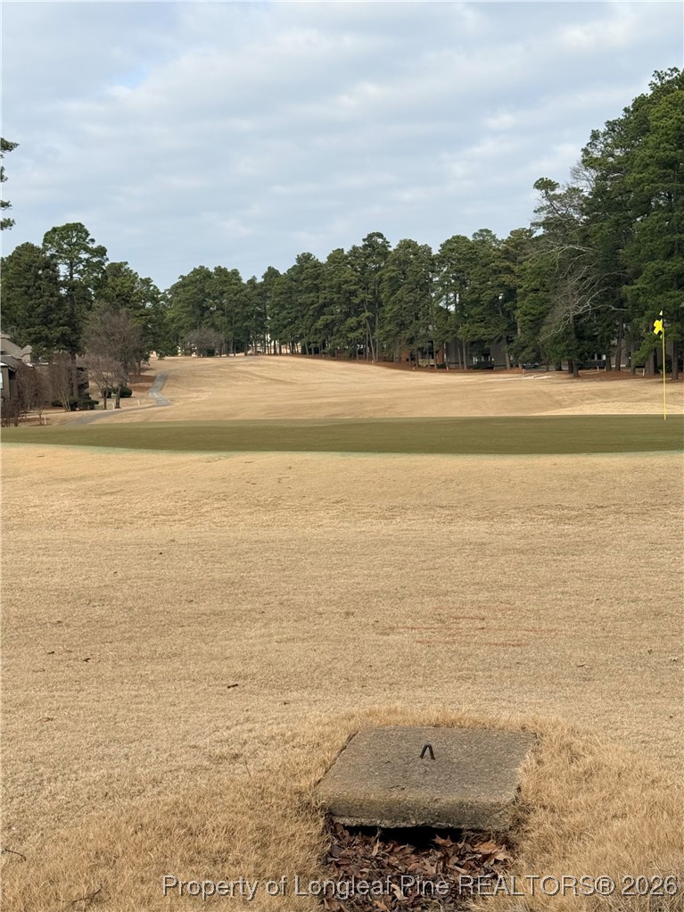 5 Pine Tree Terrace 205