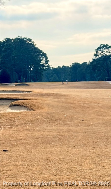 5 Pine Tree Terrace 205