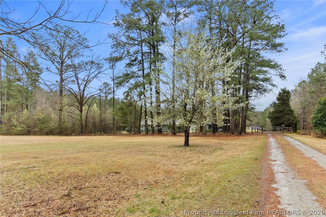 730 Slocomb Road